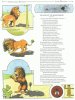 Illustration "Le lion et le moucheron"